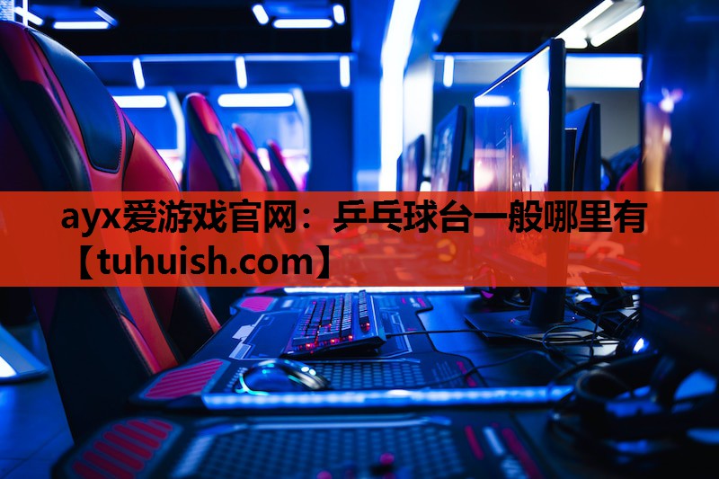 ayx爱游戏官网：乒乓球台一般哪里有